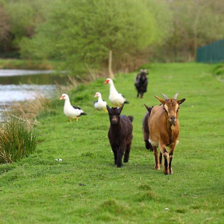 Gites De La Ferme De Vur Ven Gouvieux Luaran gambar