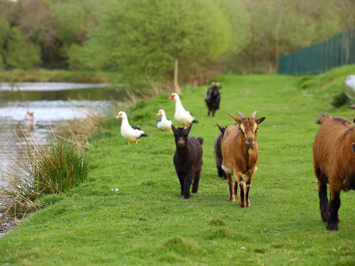 Gites De La Ferme De Vur Ven Gouvieux Luaran gambar